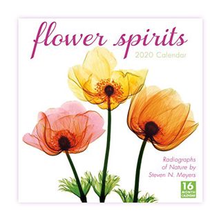 [GET] EPUB KINDLE PDF EBOOK Flower Spirits 2020 Calendar: Radiographs of Nature by Steven N. Meyers
