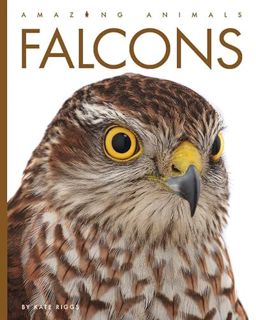 Access [EPUB KINDLE PDF EBOOK] Falcons (Amazing Animals) by  Kate Riggs 💏