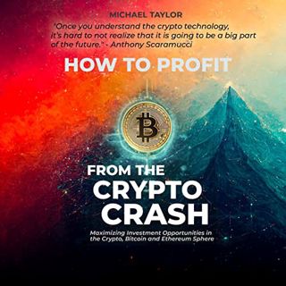 Access EBOOK EPUB KINDLE PDF How to Profit from the Crypto Crash: Maximizing Investment Opportunitie