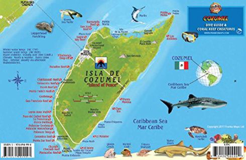 Read [PDF EBOOK EPUB KINDLE] Cozumel Dive Map & Reef Creatures Guide Franko Maps Laminated Fish Card