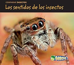 [VIEW] [KINDLE PDF EBOOK EPUB] Los sentidos de los insectos (Comparar insectos) (Spanish Edition) by