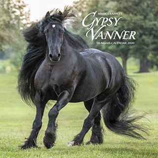 ACCESS EBOOK EPUB KINDLE PDF Gypsy Vanner Horse 2020 Wall Calendar by  Willow Creek Press 💜