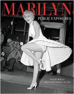 GET [PDF EBOOK EPUB KINDLE] Marilyn: In the Flash by  David Wills ☑️