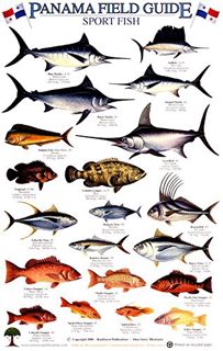 GET EBOOK EPUB KINDLE PDF Panama Sport Fish Identification Guide (Laminated Single Sheet Field Guide