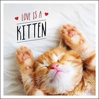 [ACCESS] [EBOOK EPUB KINDLE PDF] Love is a Kitten: A Cat-Tastic Celebration of the World’s Cutest Ki