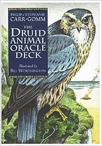 [GET] [PDF EBOOK EPUB KINDLE] Druid Animal Oracle Deck by Philip Carr-Gomm,Stephanie Carr-Gomm,Bill