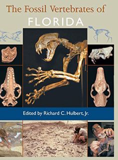 ACCESS PDF EBOOK EPUB KINDLE The Fossil Vertebrates of Florida by  Richard C. Hulbert Jr. &  Roger P
