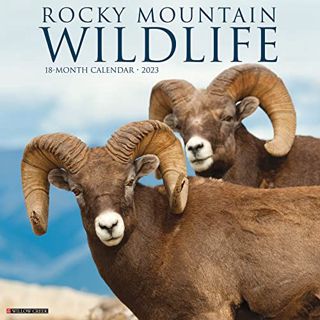 [View] PDF EBOOK EPUB KINDLE Rocky Mountain Wildlife 2023 Wall Calendar by  Willow Creek Press 💝