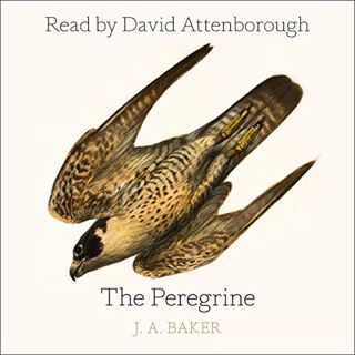 [ACCESS] [KINDLE PDF EBOOK EPUB] The Peregrine by  J. A. Baker,David Attenborough,Mark Cocker,Robert