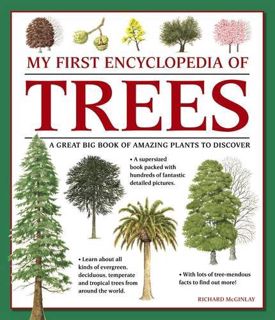 Access EPUB KINDLE PDF EBOOK My First Encyclopedia of Trees: A Great Big Book Of Amazing Plants To D