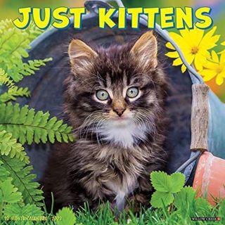GET KINDLE PDF EBOOK EPUB Just Kittens 2023 Wall Calendar by  Willow Creek Press 🗸