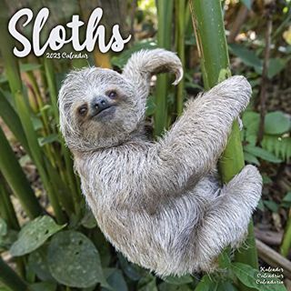 Read EBOOK EPUB KINDLE PDF 2023 Sloths Wall Calendar by  Avonside Publishing Ltd 💝