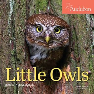 [Access] [EBOOK EPUB KINDLE PDF] Audubon Little Owls Mini Wall Calendar 2023: A Year of Fluffy and R