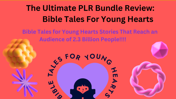 The PLR Bundle Review