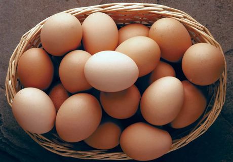 Egg price in pakistan today 2024