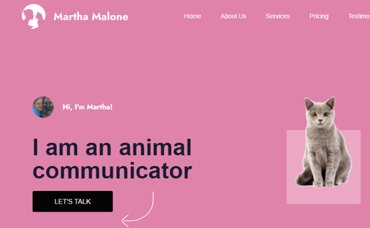 The Impact of Animal Communicators on Rescue Animals