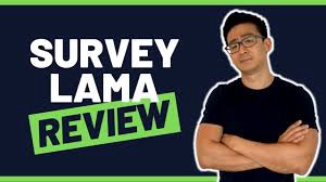 SurveyLama vs Timebucks: While survey website is more productive?