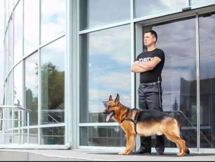 How Do K9 Security Detect Hidden Threats Quickly?