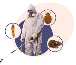 The Ultimate Guide to Protecting Your Home from Termites: Tools and Techniques for Detection"