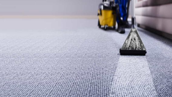 Berkeley Carpet Cleaning