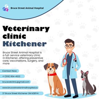 Caring Veterinary Clinic Kitchener | Bruce Street Animal Hospital