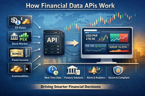 How Financial Data APIs Work: A Comprehensive and Objective Overview