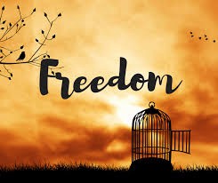 Give me my freedom