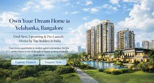 Why Yelahanka Is Gaining Attention from Property Investors