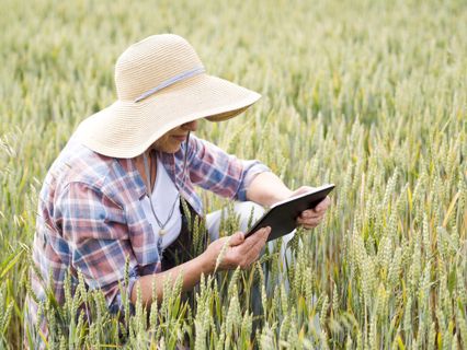 How Crop Protection Pricing Strategies Influence Adoption Across Commercial Farming Operations?