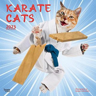 [VIEW] EBOOK EPUB KINDLE PDF Karate Cats | 2023 12 x 24 Inch Monthly Square Wall Calendar | BrownTro