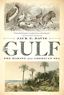 ACCESS [KINDLE PDF EBOOK EPUB] The Gulf: The Making of An American Sea by  Jack E. Davis 🖌️