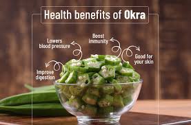 VITAL NUTRIENTS OF OKRA
