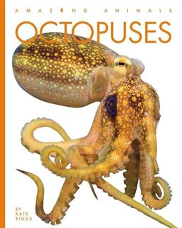 View [PDF EBOOK EPUB KINDLE] Octopuses (Amazing Animals) by  Kate Riggs 💘