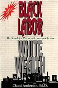 Access EPUB KINDLE PDF EBOOK Black Labor, White Wealth : The Search for Power and Economic Justice b