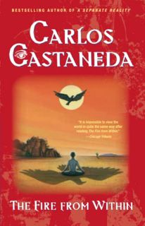 READ EBOOK EPUB KINDLE PDF The Fire from Within by  Carlos Castaneda 🎯