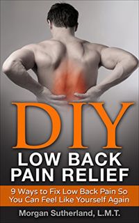 [ACCESS] KINDLE PDF EBOOK EPUB DIY Low Back Pain Relief: 9 Ways to Fix Low Back Pain So You Can Feel