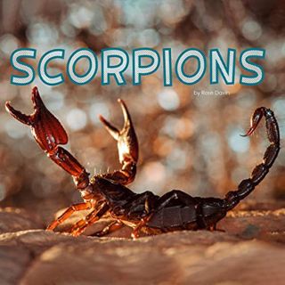 [VIEW] KINDLE PDF EBOOK EPUB Scorpions by  Rose Davin,anonymous,Inc. Capstone Publishers 📨