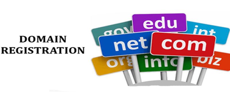 How to choose the best domain registration company in India?