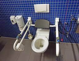 Best Handicap Toilet Available In the Market?