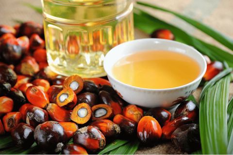Back to Beautiful: The Ultimate Guide to Batana Oil for Hair Rehabilitation