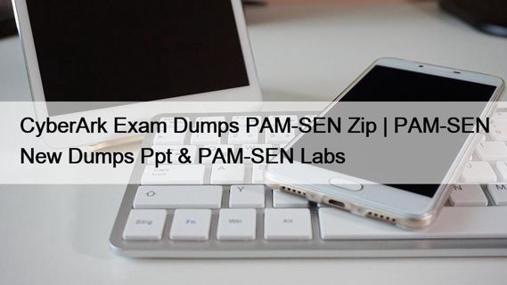 PAM-SEN PDF Testsoftware