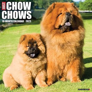 [View] PDF EBOOK EPUB KINDLE Just Chow Chows 2023 Wall Calendar by  Willow Creek Press 💞