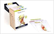 [Get] EPUB KINDLE PDF EBOOK Anatomy Flashcards by Joanne Tillotson,Stephanie McCann 📔
