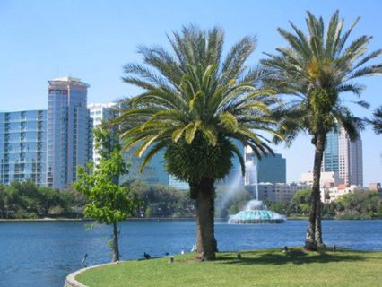 7 Ways to Survive an Unplanned Vacation in Orlando