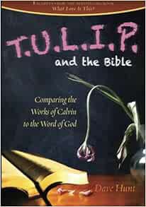 [ACCESS] [EPUB KINDLE PDF EBOOK] TULIP and the Bible: Comparing the Works of Calvin to the Word of G
