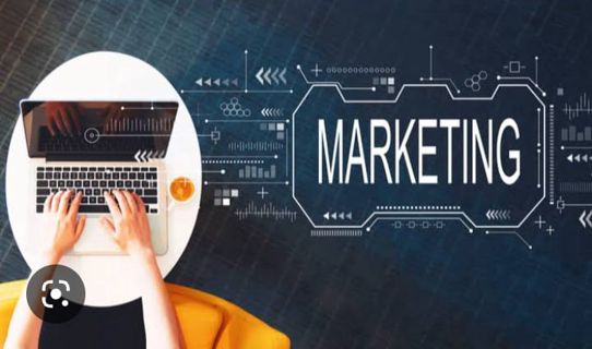 How Digital marketing Can help grow your business