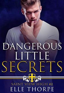 ACCESS [EBOOK EPUB KINDLE PDF] Dangerous Little Secrets: A Reverse Harem Bully Romance (Saint View H