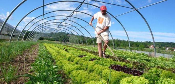 Learn About A Few Tips About Sustainable Farming By Benedict T Palen Jr