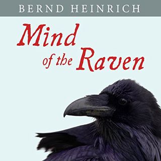 GET [PDF EBOOK EPUB KINDLE] Mind of the Raven: Investigations and Adventures with Wolf-Birds by  Ber