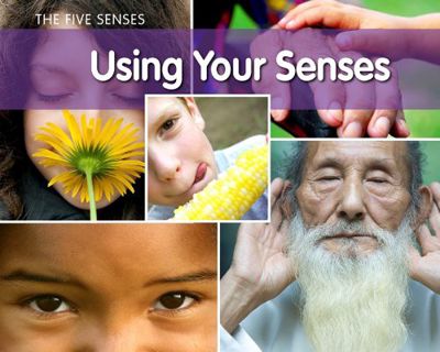 [ACCESS] [KINDLE PDF EBOOK EPUB] Using Your Senses (Five Senses (Heinemann Paperback)) by  Rebecca R
